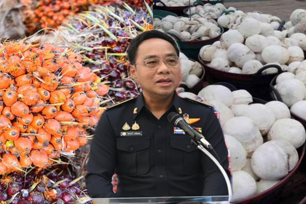ลงพื้นที่ตรวจ