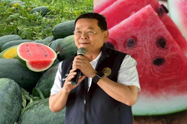 แตงโมเกาะสุกร